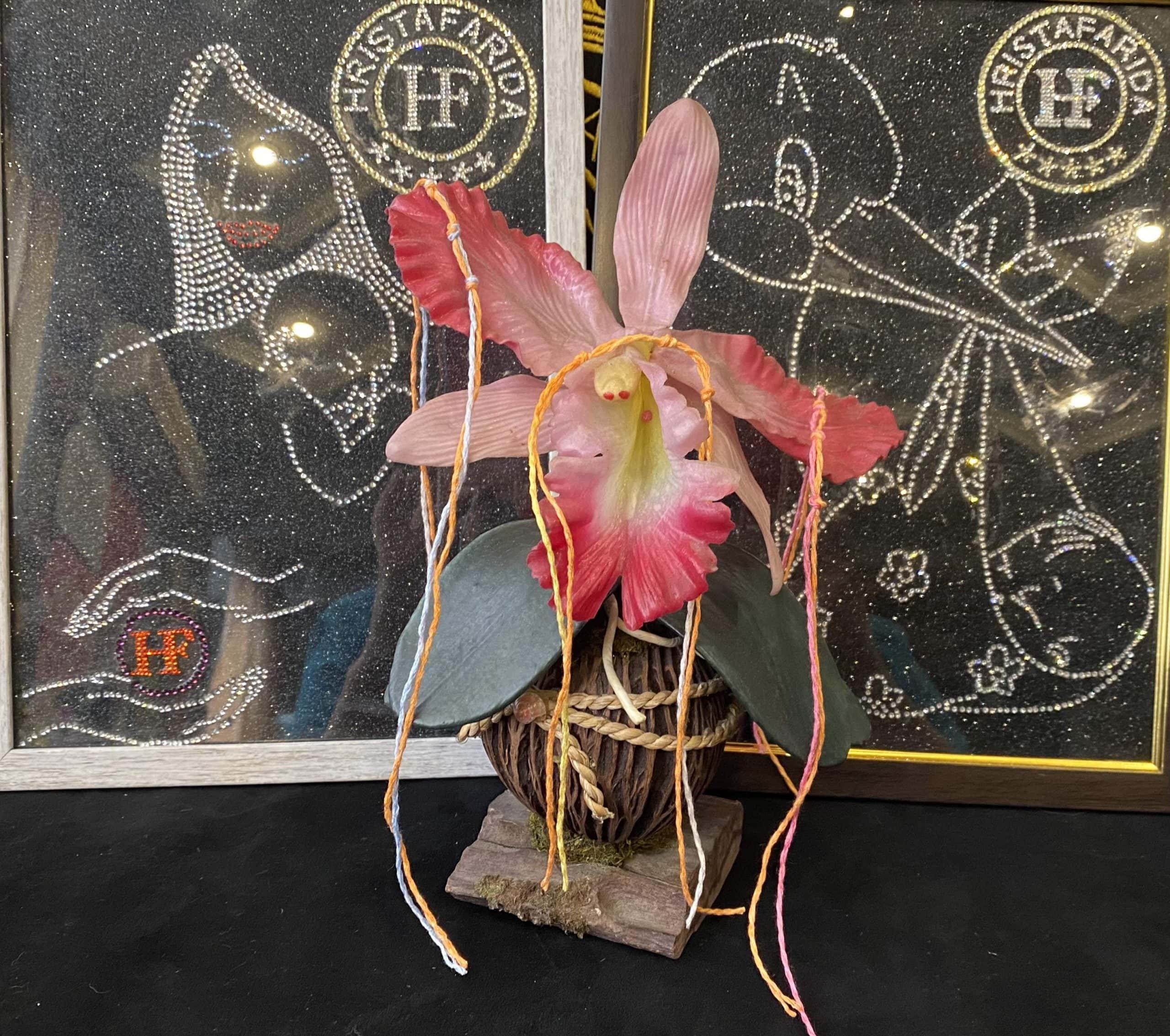 Нить Hristafarida для беременных