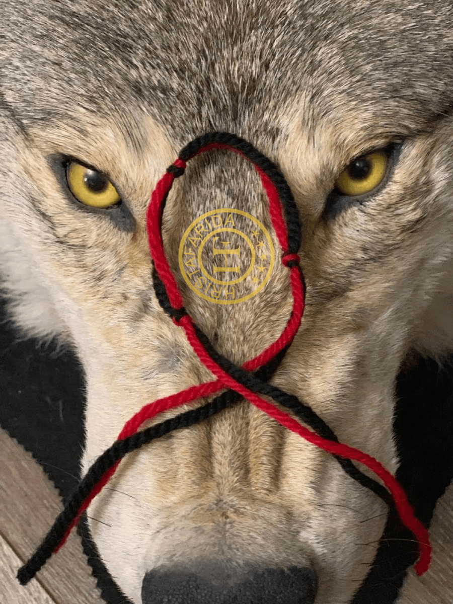 Шаманская нить Христафариды