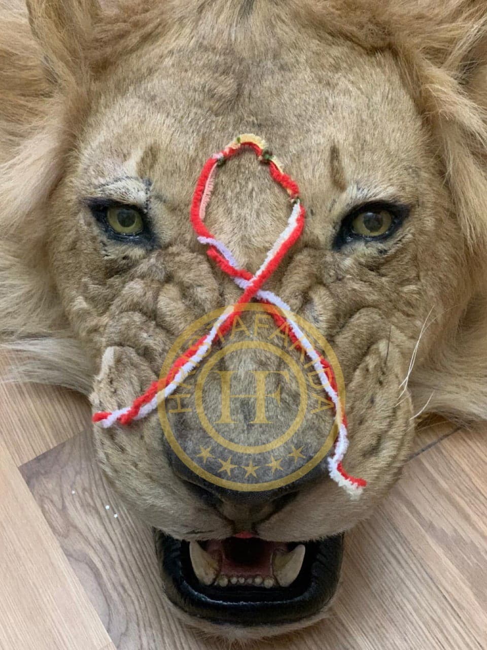 Нить "Перерождение"