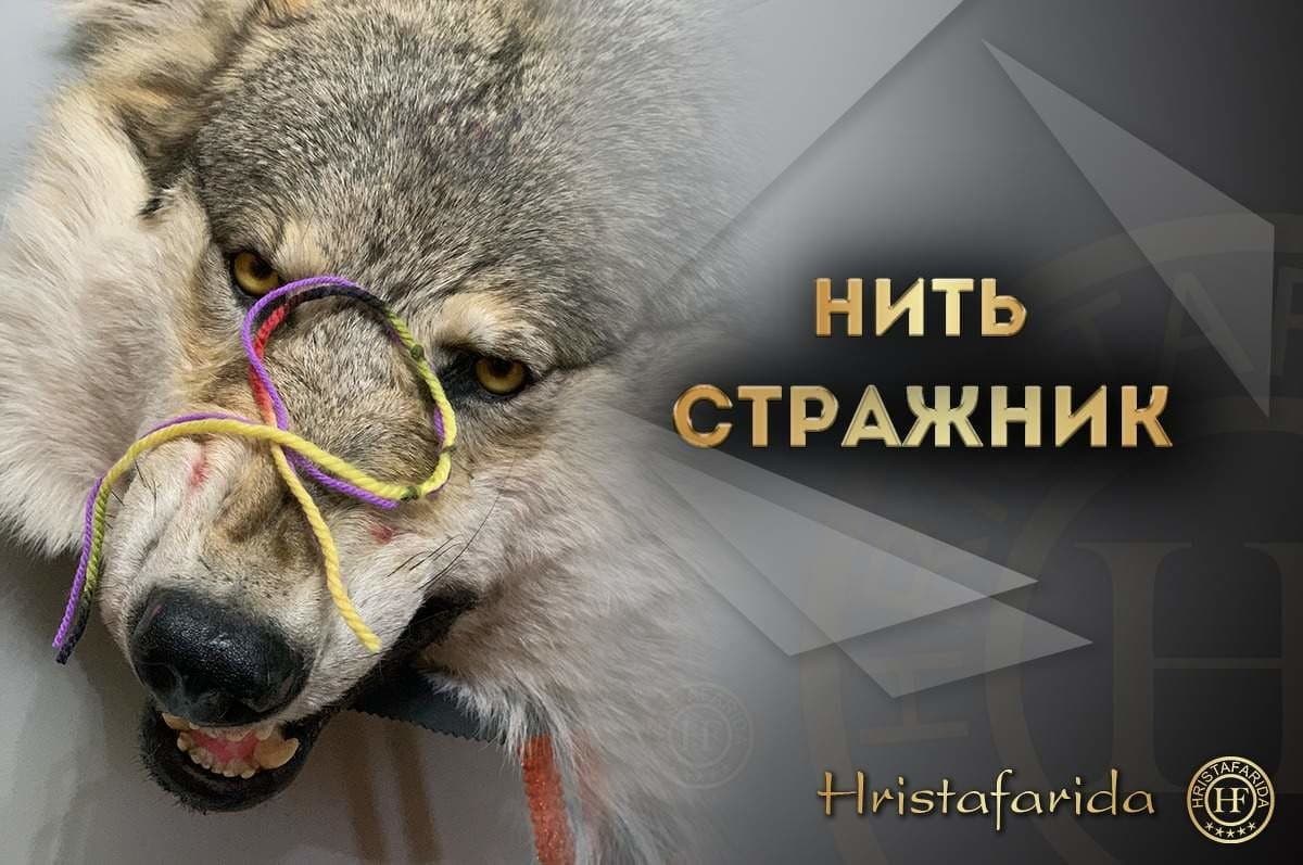 нить защита стражник