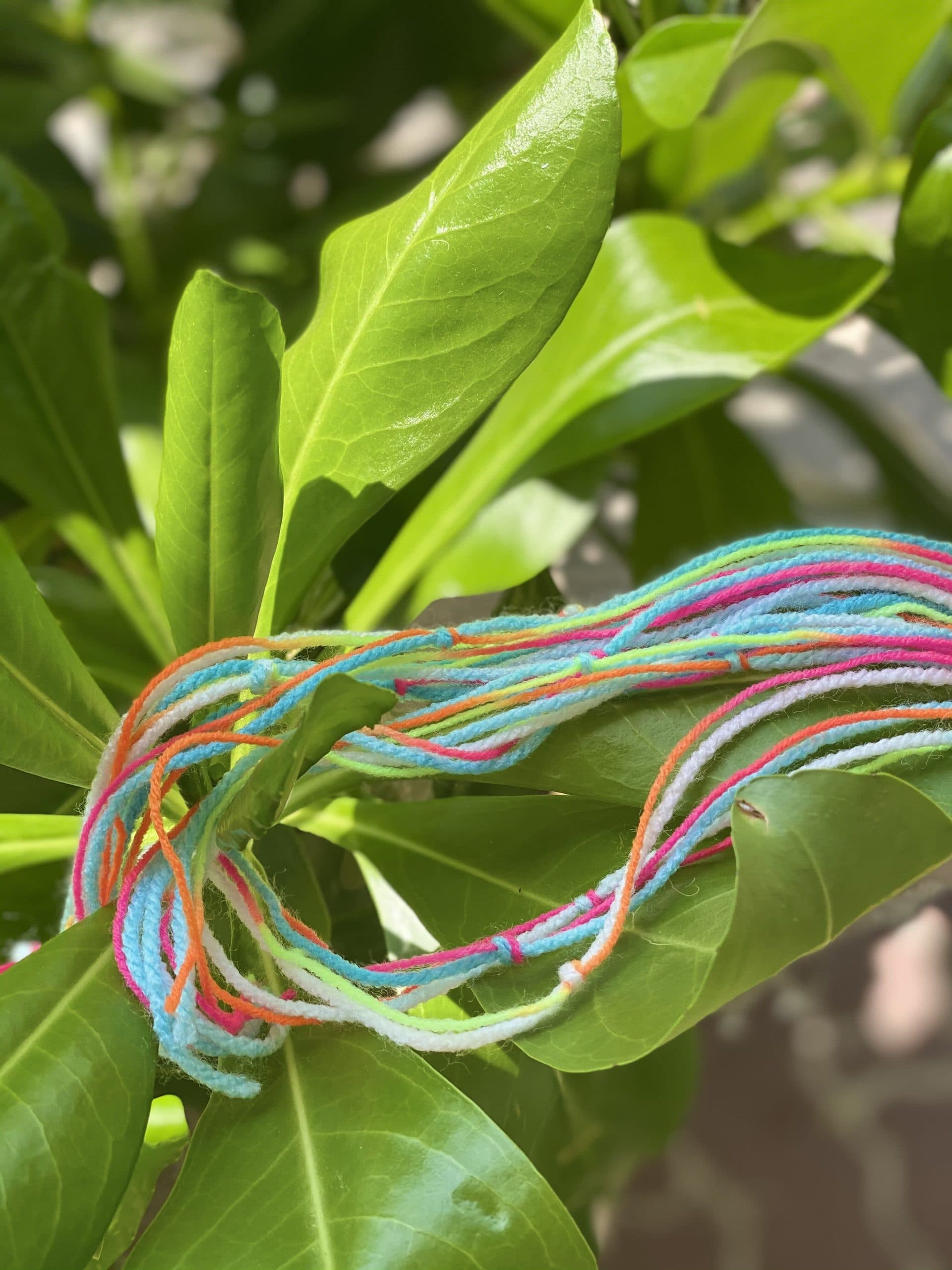 Лимитированная нить "Сабай-сабай"