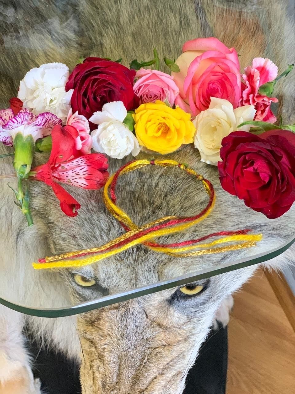 Нить Чуфыр Чуфыр