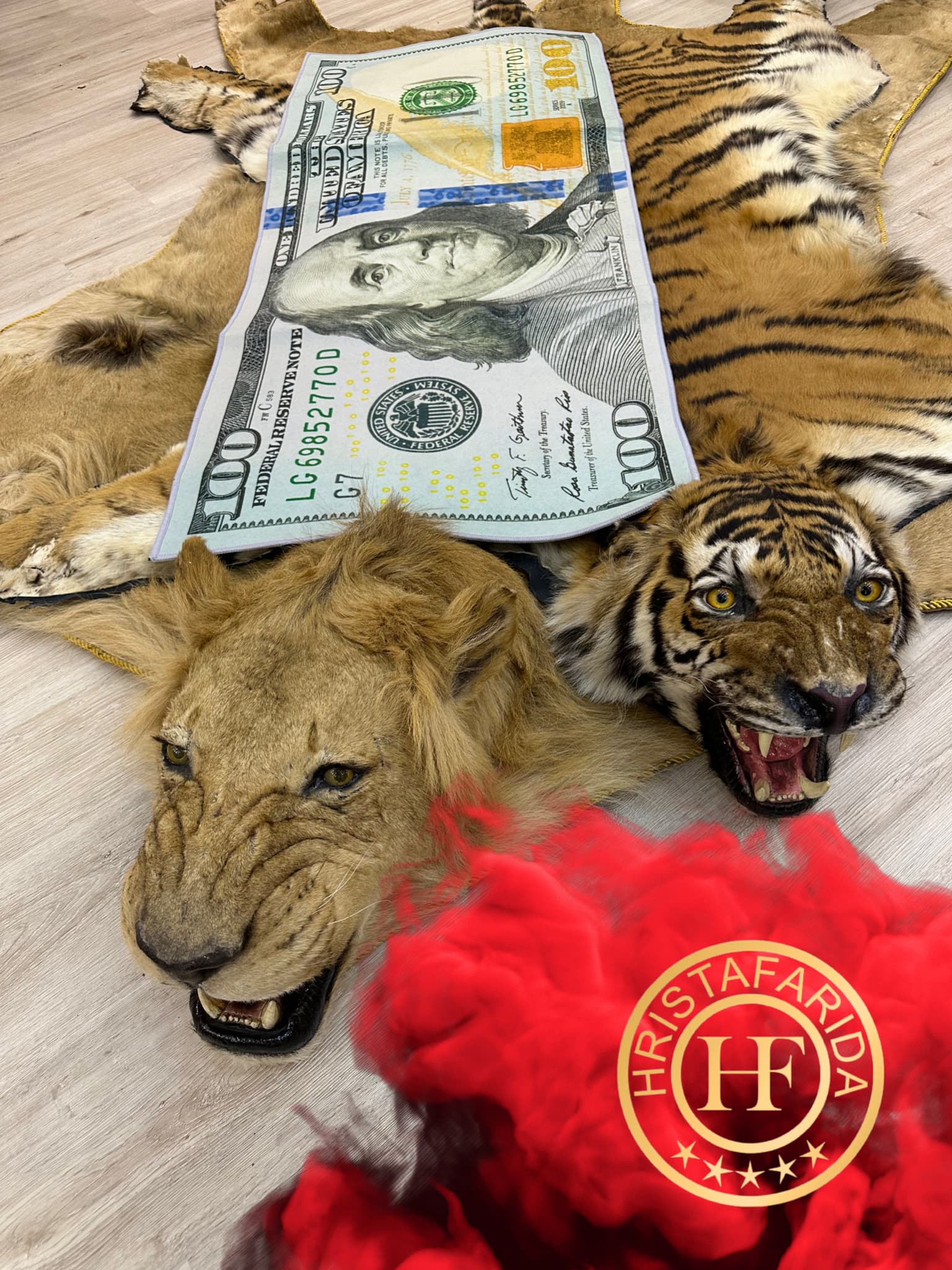 Денежная дорожка ХФ